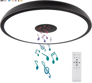 Black Waterproof LED Ceiling Light Fixture,With Bluetooth Speaker,11 Inch,18 Wat - Picture 1 of 6