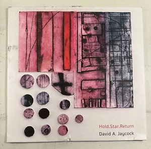 DAVID A. JAYCOCK - HOLD.STAR.RETURN - VINYL-LP GRAY MARBLE - SEHR GUTER ZUSTAND - 6A - Bild 1 von 2