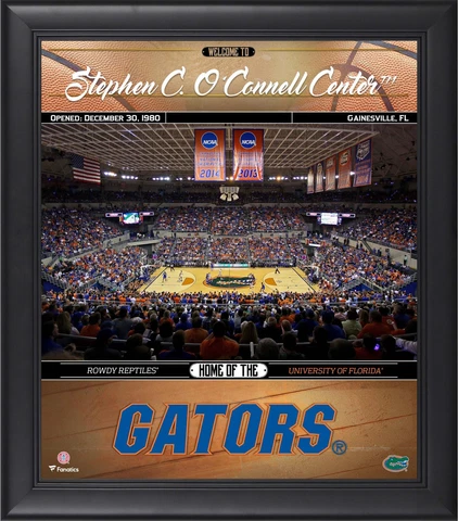Gators Framed 15x17 Basketball Welcome Home Collage - Fanatics Cover