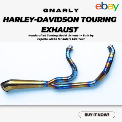 Harley Touring Road King | Escape GNARLY Blue Gold 2 en 1 1996-2016 Foto 1 de 4