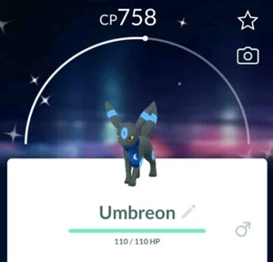 Pokémon Go Shiny Umbreon/Moon Scarf Go Fest 2024 - Picture 1 of 1