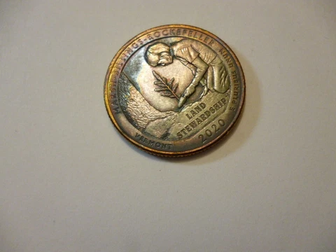 2020 p quarter ddr - die chip and toned Cover