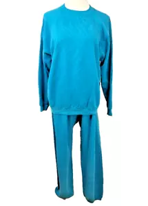 Sudadera de Colección Años 80 Hanes Azul En Blanco Pantalones Sudadera Raglán XL En Blanco 50/50 EE. UU. - Imagen 1 de 12