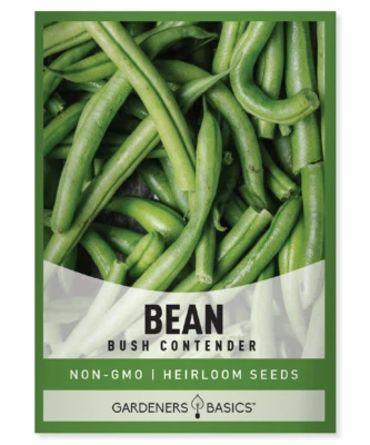 GARDENERS BASICS Bush Contender Bean Seeds