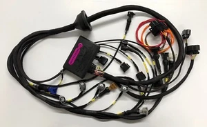 Ford RS Cosworth YB engine Wiring Loom Harness for Link ECU G4X Atom Monsoon RHD - Picture 1 of 5