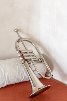 INCREÍBLE OFERTA CUERNO FLUGEL 3 Válvulas Bb Níquel Con Estuche Rígido Boquilla Plateado---- Foto 1 de 4