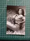 ZP792 beau retirage photo 15x10cm Actrice Pin up - Jane Russel