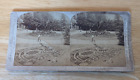 Vintage Stereo 3-D Viewer Card Sun Dial Park Toronto Canada 1893 Real Photo