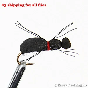1 Dozen (12) Brown Black June Foam Beetle Bug, Floating Fly Hopper Dropper - Picture 1 of 1