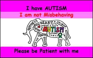 Autism / Autistic Disability Awareness PVC Plastic ID Card ONLY - 54x86mm - Picture 1 of 3