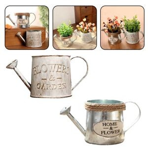 Unique Metal Craft Watering Can for Plant Watering and Artistic Display