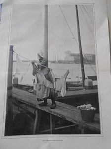 Hollande Femme faisant sa lessive consciencieuse Image Print 1905 - Picture 1 of 1