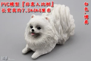 Pomeranian For1/6th Scale 12"action Figure 1:6 Animal Model Simulated dog - Picture 1 of 3