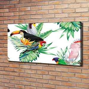 Tulup Canvas Print Wall Art 120x60 - Tropical birds - Picture 1 of 6