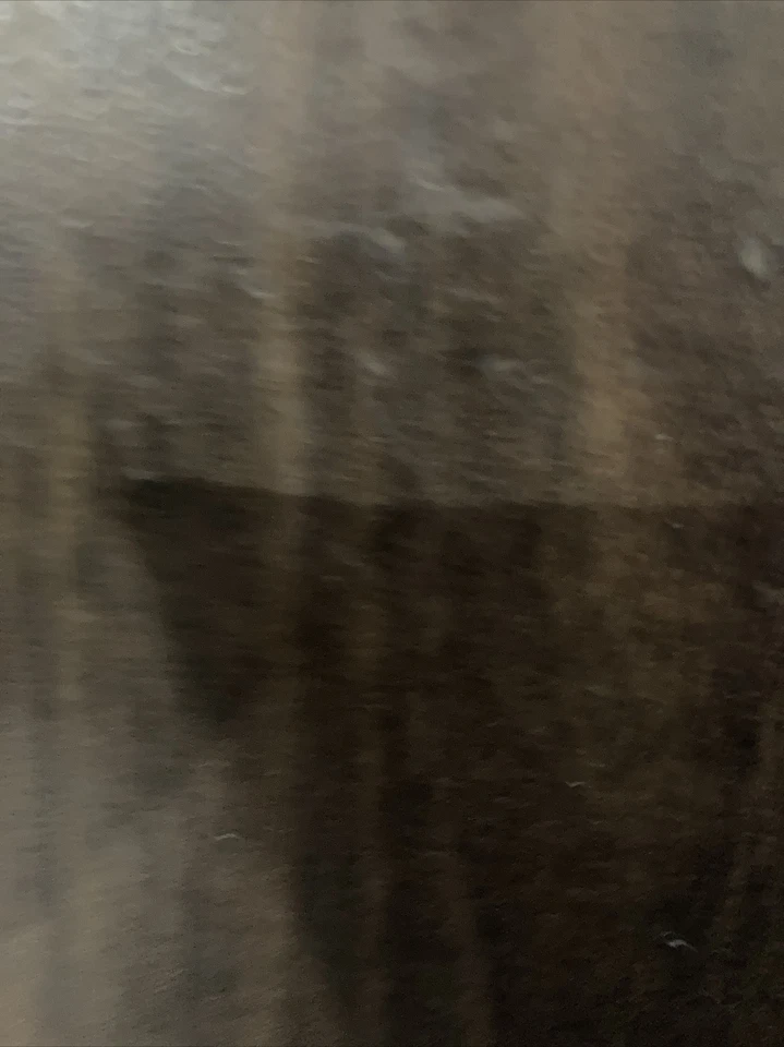 Treehouse Hostage DVD SEALED  OOP Rare Children's Classic Jim Varney - Image 1 of 1