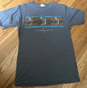 Eco Mountain Medium Gray Carlsbad Caverns Kokopelli Native American T-Shirt - Picture 1 of 6