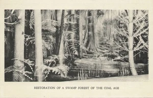 Restoration Of A Swamp Forest Field Museum Of Natural History Chicago Postcard - Picture 1 of 2