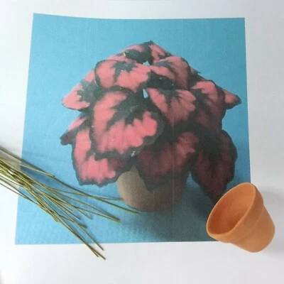 DRAGONFLY INTERNATIONAL Dollhouse Miniature Green & Pink Leaf Plant Kit with Pot included 1:12 Scale