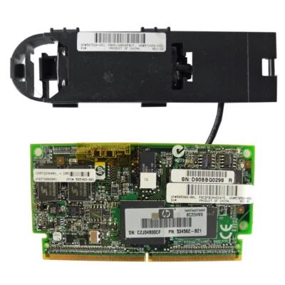 HP 505908-001 FBWC Memory Module + Battery Pack 587324-001 per ProLiant ML350 G6 - Immagine 1 di 3