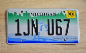 USA Nummernschild - US Kennzeichen - Michigan, 2010 - Bild 1 von 2