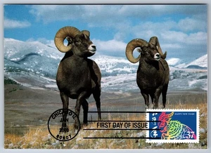 3747 Chinese Lunar New Year, Year of the Ram FDC Maxi Card - Picture 1 of 2