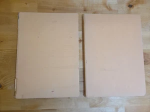 I Grandi Maestri della Pittura Italiana Dell'Ottocento-Vin (59) HDCR Vol 1 & 2 - Imagen 1 de 11