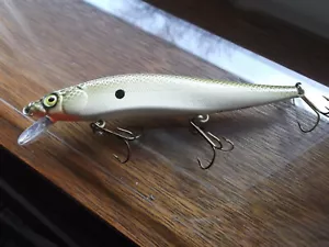 Lurehoor's Custom Painted ITO Type Vision 110 Max LBO,Suspending,Gizzard - Picture 1 of 12