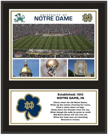 Irish Sublimated 12" x 15" Plaque - Fanatics Cover