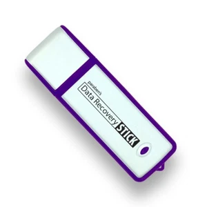 Data Recovery Stick - Recover Deleted Data from Windows Computers & Drives - Picture 1 of 3