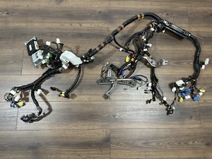 2004-2005 Lexus IS300 OEM Interior Instrument Panel Dash Board Wiring Harness - Foto 1 di 10