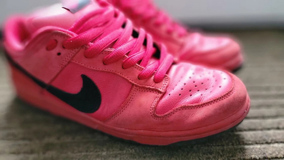 Nike Dunk Low Pro SB True RED - Image 1 of 4