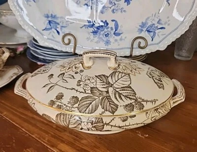 Antiguo movimiento estético marrón transferware salsa puré mariposas Foto 1 de 4