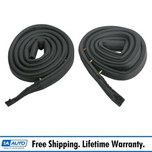 Roofrail Weatherstrip Seal Pair Set of 2 for 71-74 Charger Roadrunner Satellite - Picture 1 of 1
