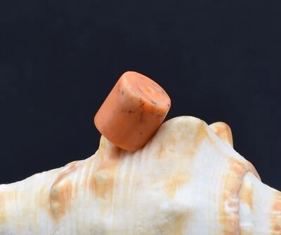 UNDYED! Antique BEAD CORAL VTG Mediterranean red TIBET Buddhist Mala Dzi medical - Image 1 of 4