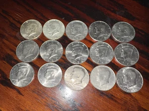 United States Half Dollar Collection - Picture 1 of 1