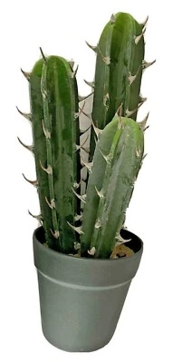 Maceta sintética decorativa artificial suculenta falsa 17 pulgadas 3 cactus mexicanos Foto 1 de 3