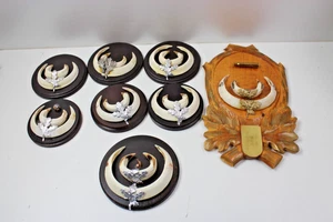 Sammlung Kapitale Keilerwaffen Trophäenbrett Wildschwein Hauer 8 Stück - Bild 1 von 6