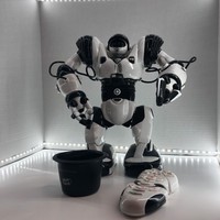 nao robot ebay