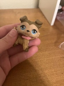 littlest pet shop collie #893