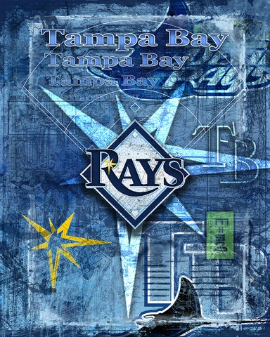 Tampa Bay Rays 16x20inch Poster Tampa Bay Rays Cards Baseball Free Shipping Us Cover