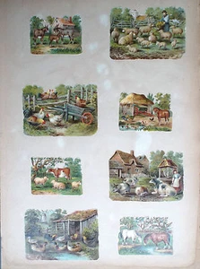 Page de découpis Les animaux de la ferme No chromos - Picture 1 of 1