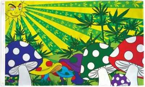 Mushroom MJ 3x5ft Poly Flag Marijuana Mushrooms Weed Dispensary Dorm Flag - Picture 1 of 4