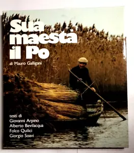 SUA MAESTA' IL PO - Mauro Galligani - Reverdito - Foto 1 di 17