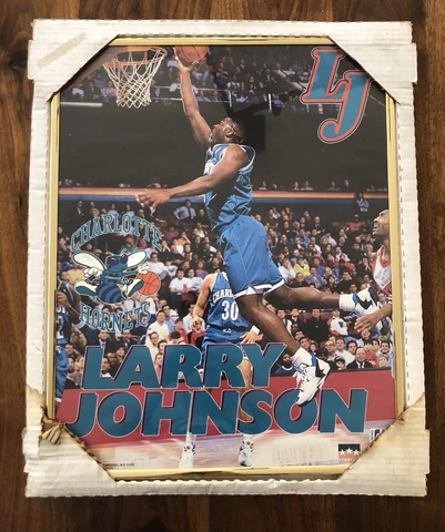 Vintage 1993 NBA Larry Johnson Charlotte Hornets Starline Poster 16x20 Framed Cover