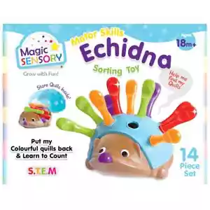Magic Sensory - Fine Motor Skills Echidna - Picture 1 of 4
