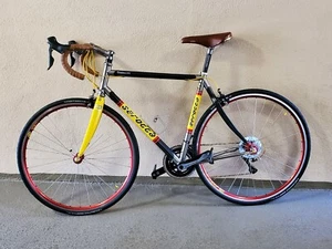 SEROTTA OTTROT THE CYCOLOGIST TITANUIM/CARBON FULL DURA-ACE 56CM CUSTOM ROADBIKE - Picture 1 of 12