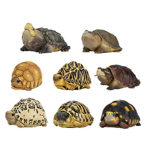 8PCS ANIMAL HEAVENLY BODY Tortoise Figure Chelydridae Turtle Blind Box Toys - Picture 1 of 12