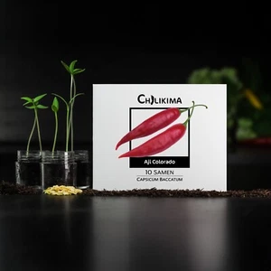 Chili Samen - 10 Chilisamen - Aji Colorado - pikante Peperoni - frische Ernte 24 - Bild 1 von 6