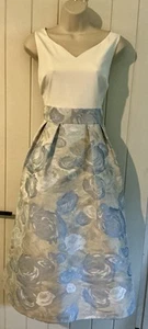 Fabulous New Coast Fit and Flare Occasion dress size 16 party wedding cocktails - Picture 1 of 6