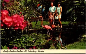 Family and flamingo at Lovely Sunken Gardens St. Petersburg FLORIDA POSTCARD D18 - Picture 1 of 2